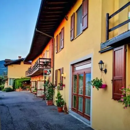 Forest Iseo